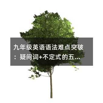 九年級英語語法難點突破:疑問詞+不定式的五大用法全解析