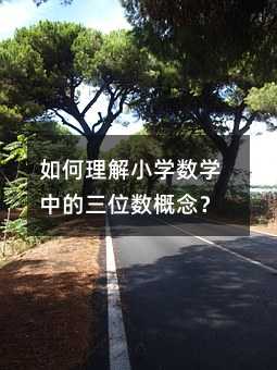 如何理解小學(xué)數(shù)學(xué)中的三位數(shù)概念?