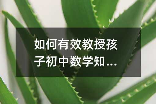 如何有效教授孩子初中數學知識?