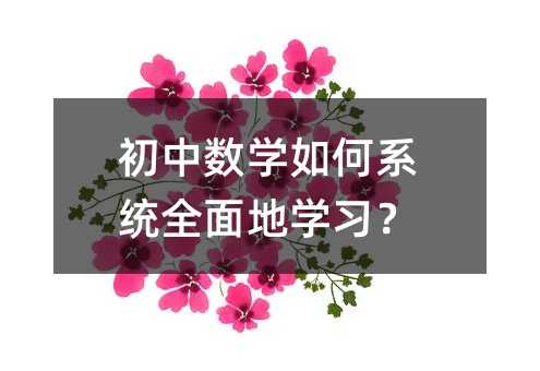 初中數(shù)學如何系統(tǒng)全面地學習?