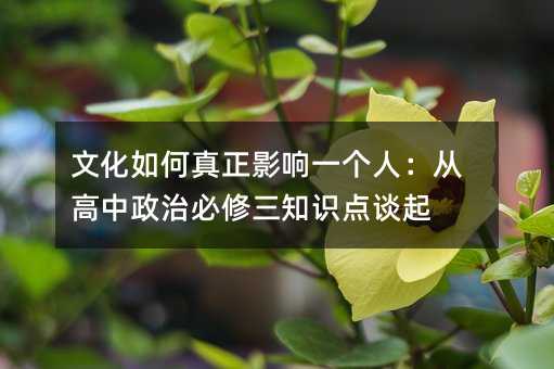 文化如何真正影響一個人:從高中政治必修三知識點談起