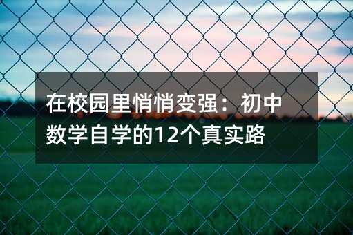 在校園里悄悄變強(qiáng):初中數(shù)學(xué)自學(xué)的12個真實路徑