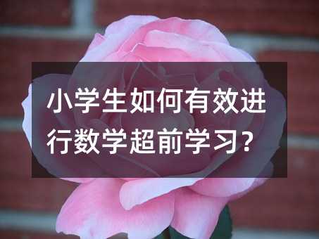 С�W�������Ч�M�Д��W��ǰ�W����