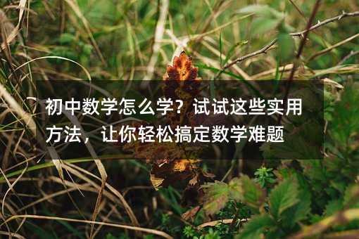 初中數(shù)學怎么學?試試這些實用方法,讓你輕松搞定數(shù)學難題