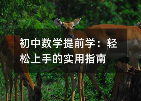初中數學提前學:輕松上手的實用指南