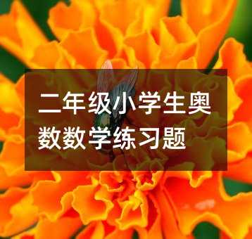 二年級(jí)小學(xué)生奧數(shù)數(shù)學(xué)練習(xí)題