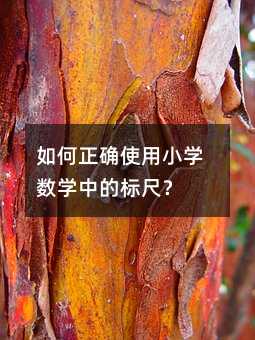如何正確使用小學數學中的標尺?
