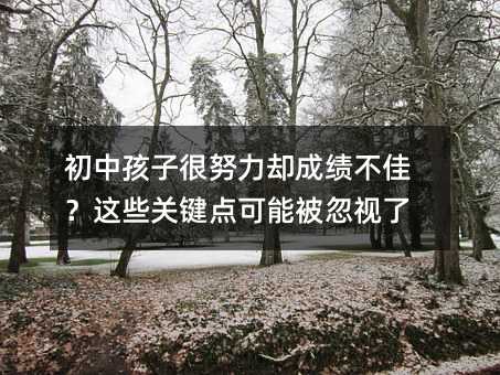 初中孩子很努力卻成績(jī)不佳?這些關(guān)鍵點(diǎn)可能被忽視了