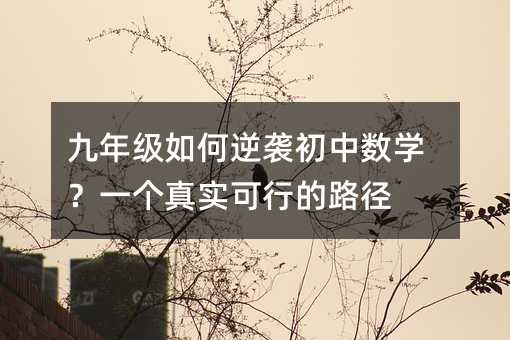 九年級如何逆襲初中數學?一個真實可行的路徑