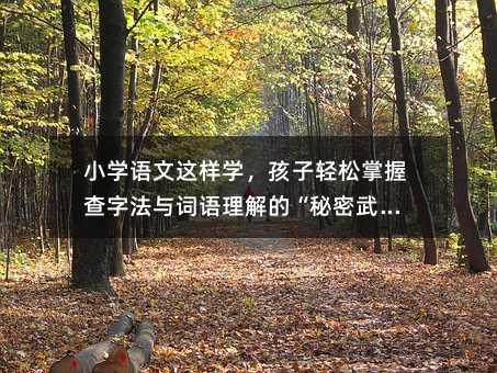 小學語文這樣學,孩子輕松掌握查字法與詞語理解的“秘密武器”