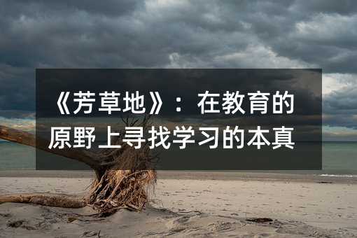 《芳草地》:在教育的原野上尋找學習的本真