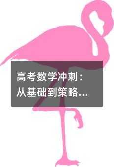 高考數(shù)學(xué)沖刺:從基礎(chǔ)到策略的全方位突破指南