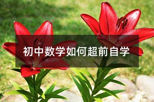 初中數學如何超前自學