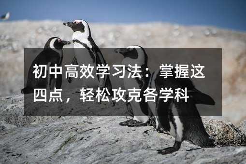 初中高效學(xué)習(xí)法:掌握這四點,輕松攻克各學(xué)科