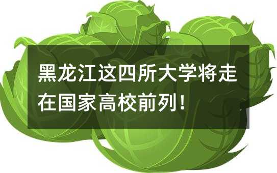 黑龍江這四所大學將走在國家高校前列!