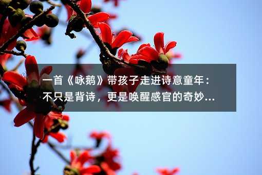 һסԁZM(jn)Ԋͯ꣺ֻǱԊǆѸйٵó