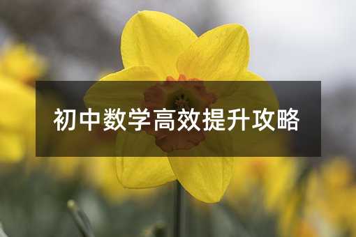 初中數(shù)學(xué)高效提升攻略