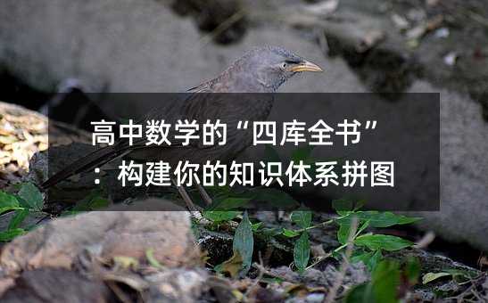 Д(sh)W(xu)ġĎ(k)ȫ(gu)֪R(sh)wϵƴD