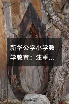 AW(xu)СW(xu)(sh)W(xu)ע˼SB(yng)cȫl(f)չ̽