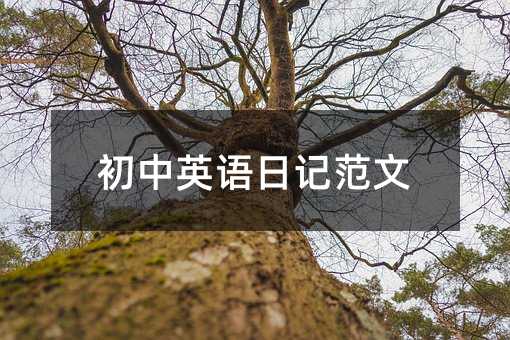初中英語日記范文