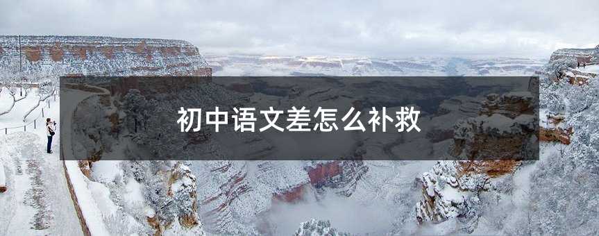 初中語文差怎么補救