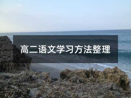 高二語文學習方法整理