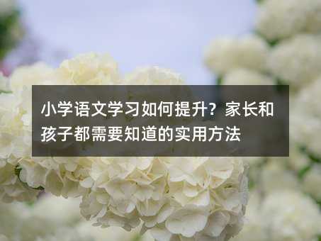 小學語文學習如何提升?家長和孩子都需要知道的實用方法