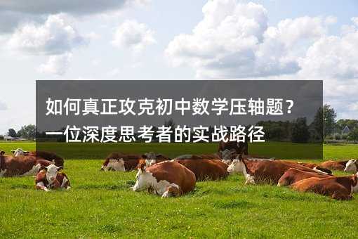 如何真正攻克初中數學壓軸題?一位深度思考者的實戰路徑