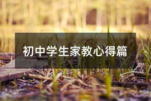 初中學生家教心得篇