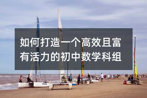 如何打造一個高效且富有活力的初中數學科組