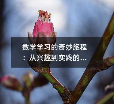 數(shù)學(xué)學(xué)習(xí)的奇妙旅程:從興趣到實(shí)踐的探索