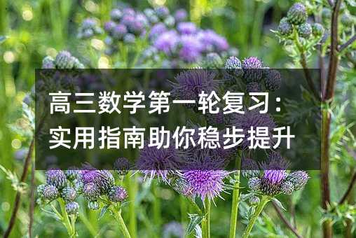 高三數學第一輪復習:實用指南助你穩步提升