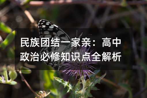 民族團結(jié)一家親:高中政治必修知識點全解析