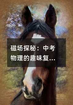 磁場探秘:中考物理的趣味復習之旅