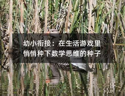 幼小銜接:在生活游戲里悄悄種下數學思維的種子