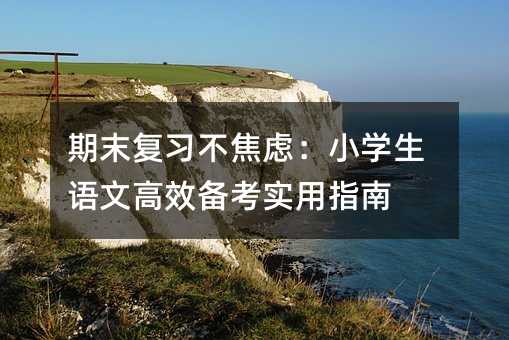 期末復習不焦慮:小學生語文高效備考實用指南