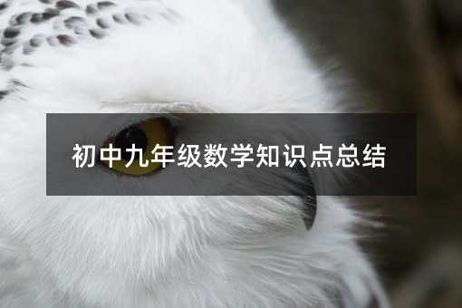 初中九年級數學知識點總結