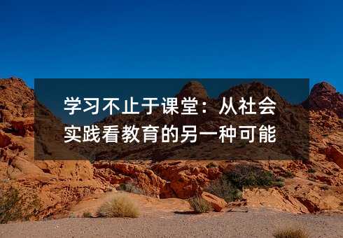 學(xué)習(xí)不止于課堂:從社會實踐看教育的另一種可能
