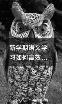 新學(xué)期語文學(xué)習(xí)如何高效起步?實(shí)用方法與心態(tài)調(diào)整全解析