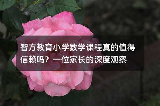 智方教育小學數學課程真的值得信賴嗎?一位家長的深度觀察