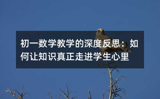 初一數學教學的深度反思:如何讓知識真正走進學生心里