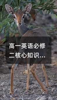 高一英語必修二核心知識點解析:從詞匯到思維的躍遷