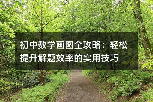 初中數(shù)學(xué)畫圖全攻略:輕松提升解題效率的實(shí)用技巧