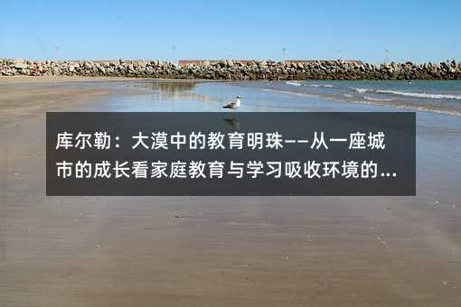 �젖�գ���Į�еĽ������顪����һ�����еĳ��L����ͥ�����c�W(xu��)��(x��)���խh(hu��n)������Ҫ��