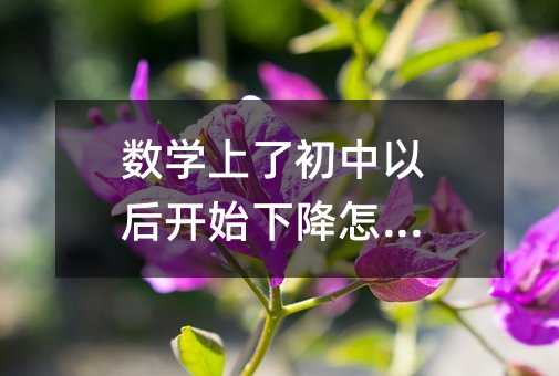 數學上了初中以后開始下降怎么辦
