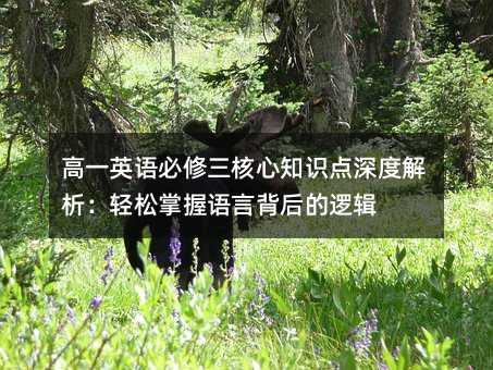 高一英語必修三核心知識點深度解析:輕松掌握語言背后的邏輯