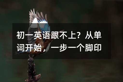 初一英語跟不上?從單詞開始,一步一個腳印