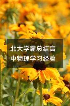 北大學霸總結高中物理學習經驗