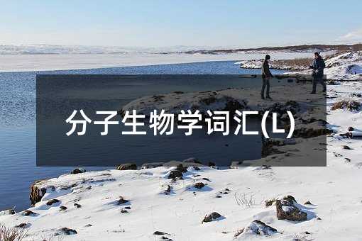 分子生物學詞匯(L)