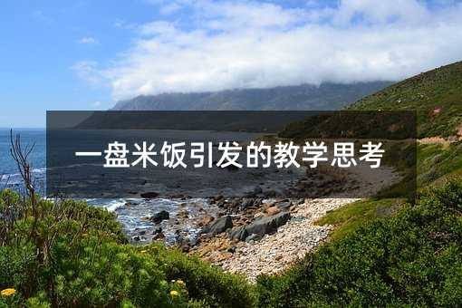 一盤米飯引發(fā)的教學(xué)思考